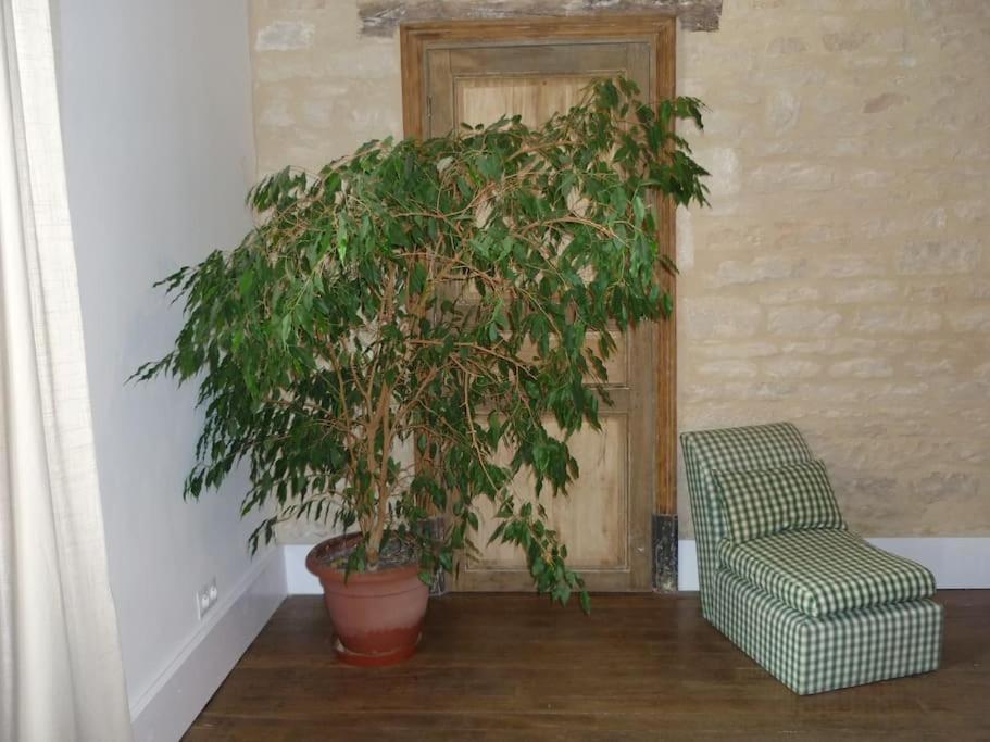 Le Presbytere - Touillon, Jacuzzi, 4 Pour 10 Ferienhaus
